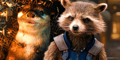 rocket and lylla.